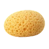 Губка