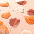 prod