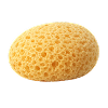 Губка