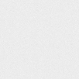 Обои для стен Victoria Stenova 585401