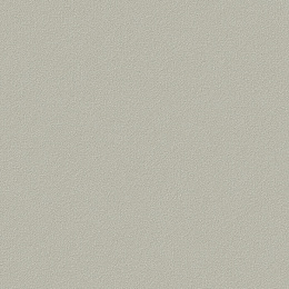 Обои для стен Victoria Stenova 585393