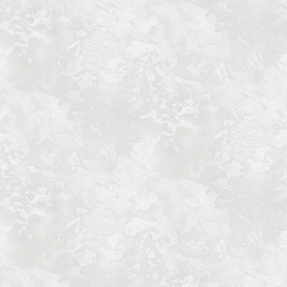 Обои для стен Victoria Stenova 287630
