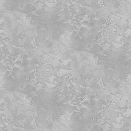 Обои для стен Victoria Stenova 287637