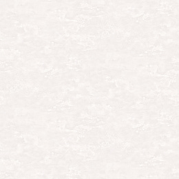 Обои для стен Victoria Stenova 588266